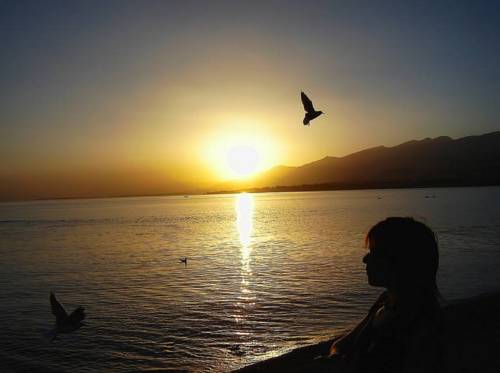 Фотографии гостевого дома
Орион