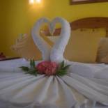 Фотография гостевого дома Pension Citadelle