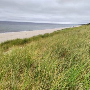 Фотография квартиры Квартира Sand