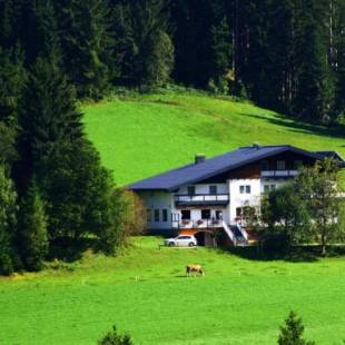 Фотографии гостиницы
Alpenhof