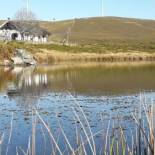 Фотография мини отеля Lago da Garça Guesthouse