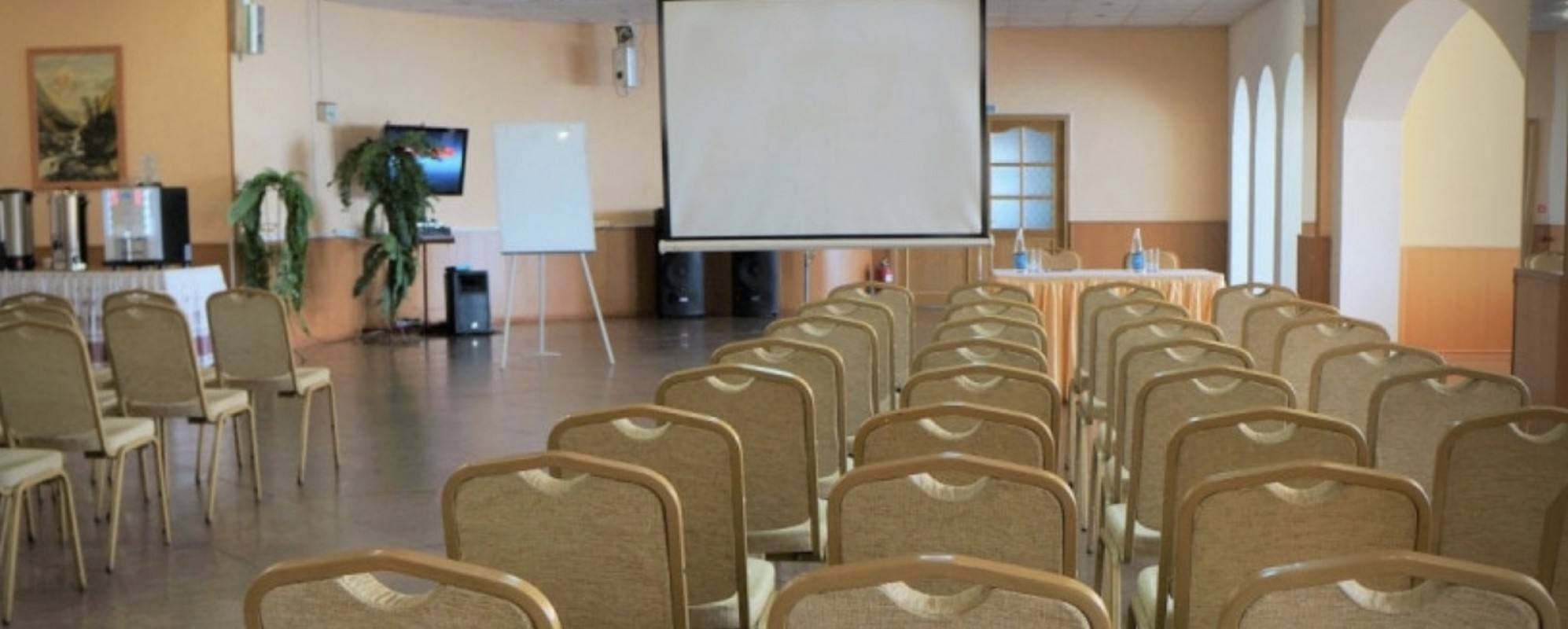 Фотографии конференц-зала Большой зал АМАКС Отель Россия