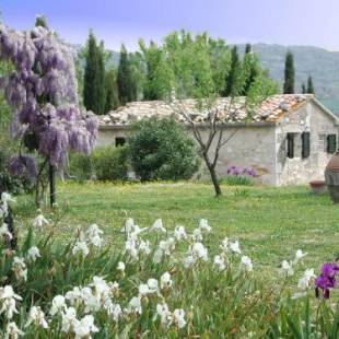 Фотографии гостевого дома 
            Vignagrande Agriturismo