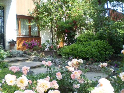 Фотография мини отеля B&B Fontanella