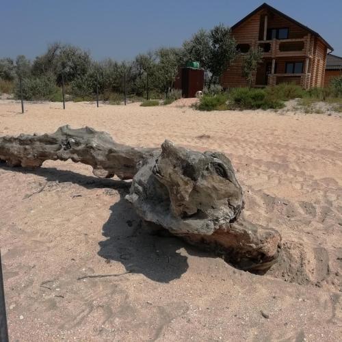 Фотография базы отдыха Вереск