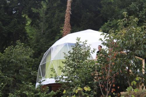 Фотография базы отдыха Ajara Glamping Kokotauri