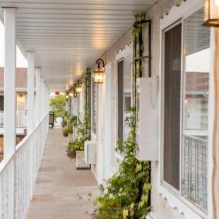 Фотографии мотеля 
            The Chalet