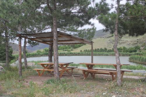 Фотография гостевого дома Тиреби