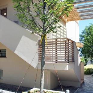 Фотографии мини отеля
Bombyx Inn