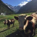 Фотография базы отдыха La Ferme du Grand Paradis