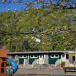 Фотография мотеля Rotorua Hideaway Lodge