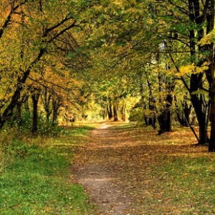 Фотография достопримечательности Севастопольский парк