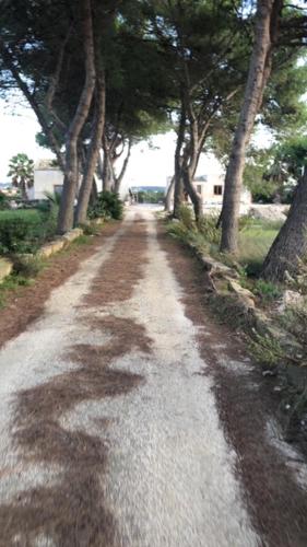 Фотография мини отеля Case vacanze Spagnola 106