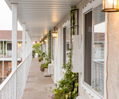 Фотография мотеля The Chalet