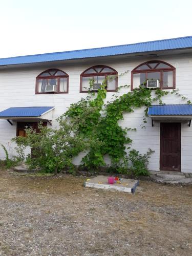 Фотография гостевого дома Дельфин