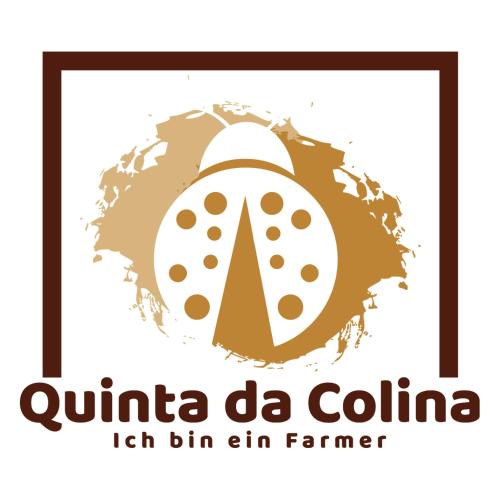 Фотография гостевого дома Quinta da Colina