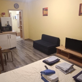 Фотография квартиры Апартаменты Студия 621 Авиаторов Балтики 11/1