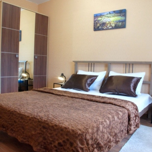 Фотография квартиры Апартаменты ЦЕНТР ГОРОДА Советская 190Вк1