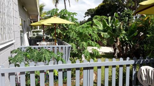 Фотография мини отеля Dayspring Lodge