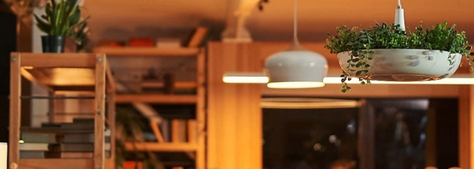 Фотография ресторана Лес и Лис