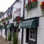 Фотография мини отеля String Of Horses