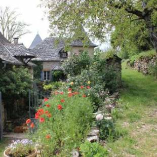 Фотографии мини отеля 
            Les Terrasses de Labade Chambres d'hôtes