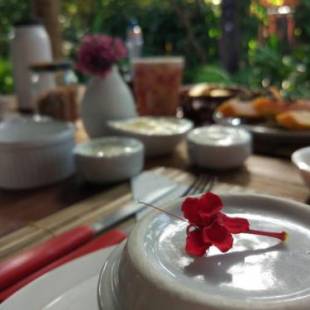 Фотографии мини отеля
Pousada Spa Oasis