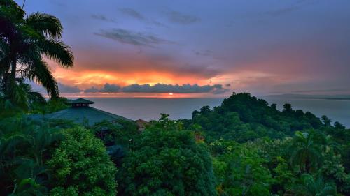 Фотография гостиницы Tulemar Resort