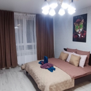 Фотография квартиры Апартаменты Resident Ufa на Давлеткильдеева 5 6