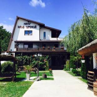 Фотографии гостевого дома
Hanu lu Mos Opinca