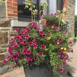 Фотография мини отеля Ferme de la Petite Fagne