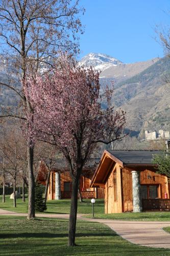 Фотография кемпинга Lazy Bee Camping Village