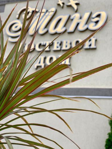 Фотография гостевого дома Манэ