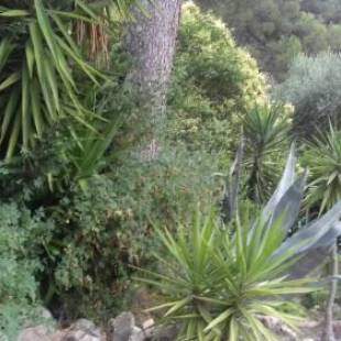 Фотографии гостевого дома 
            palayson two