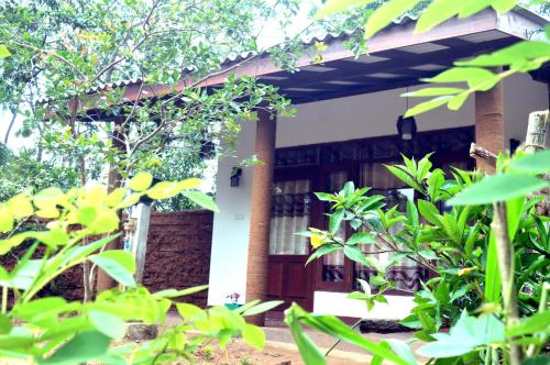 Фотография мини отеля Alone Cage Ella