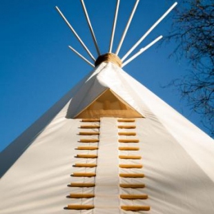 Фотография кемпинга Папоротник