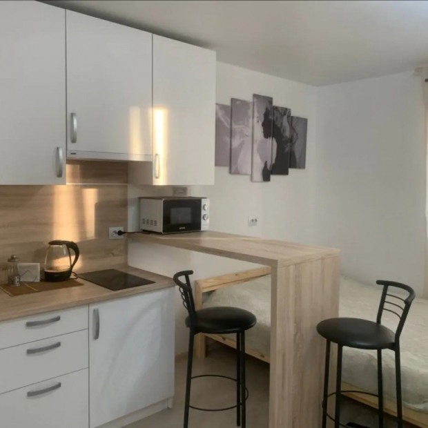 Фотографии квартиры 
            Квартира Уютная квартира- студия в Заречье с видом на достопримечательность городасуа