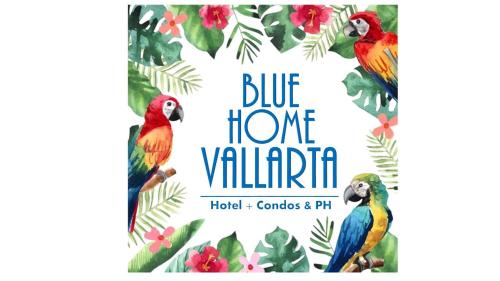 Фотография гостиницы Hotel Blue Home Vallarta
