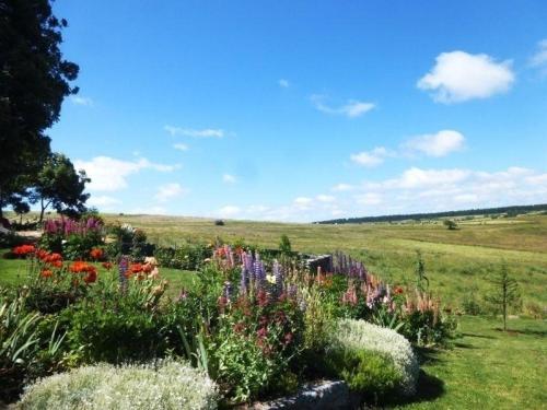 Фотография гостевого дома Gîte Freycenet-la-Cuche, 6 pièces, 14 personnes - FR-1-582-23