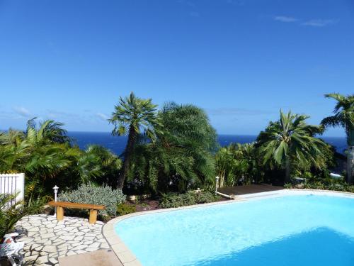 Фотография мини отеля Maison d'hôtes Villa des Mascareignes