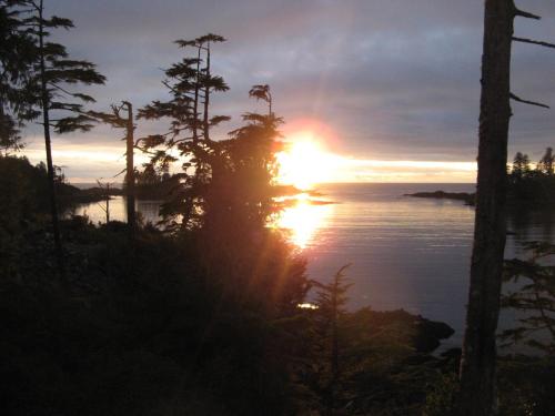 Фотография мини отеля Reef Point Oceanfront Bed and Breakfast