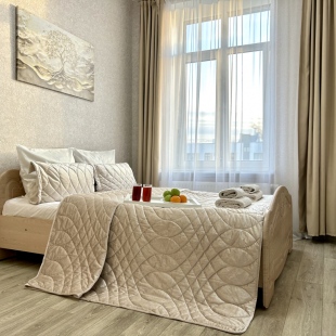 Фотография квартиры Апартаменты Fsf Цветы Башкирии Мега М5 Аэропорт