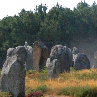 Фотография достопримечательности Памятник истории Скельские менгиры