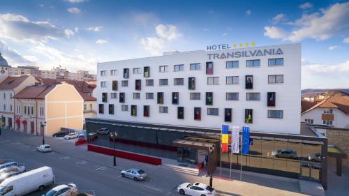 Фотография гостиницы Hotel Transilvania