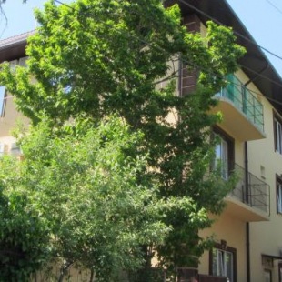 Фотография гостевого дома Волжанин