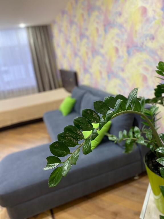 Фотография квартиры Апартаменты Diaday Irk 124