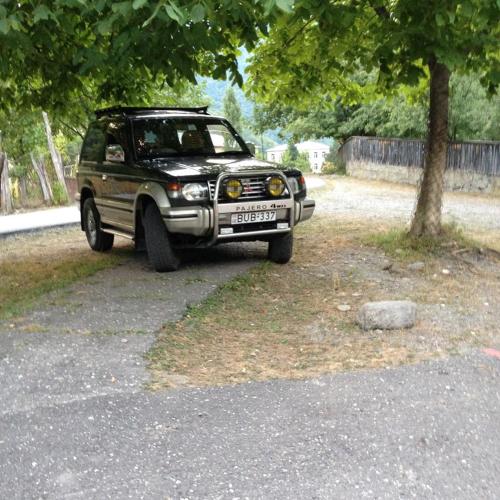 Фотография гостевого дома GUESTHAUS SVANETI