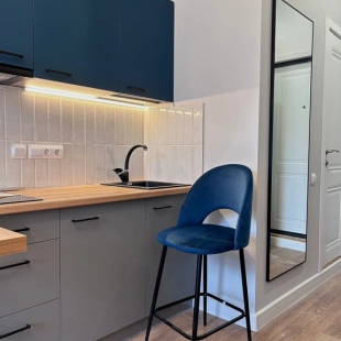 Фотография квартиры Апартаменты Лиговский Grey&Blue