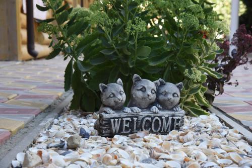 Фотографии гостиницы
ЭкоТерем