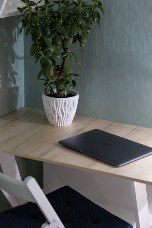 Фотография квартиры Satin Home Apart (Сатин Хоум Апарт) на проспекте Металлистов